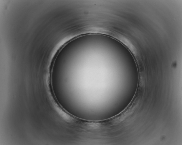 X0000101101136200807031744