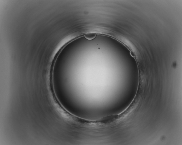 X0000101101138200807031744