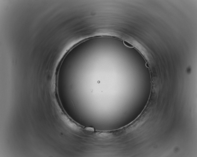 X0000101101140200807031744