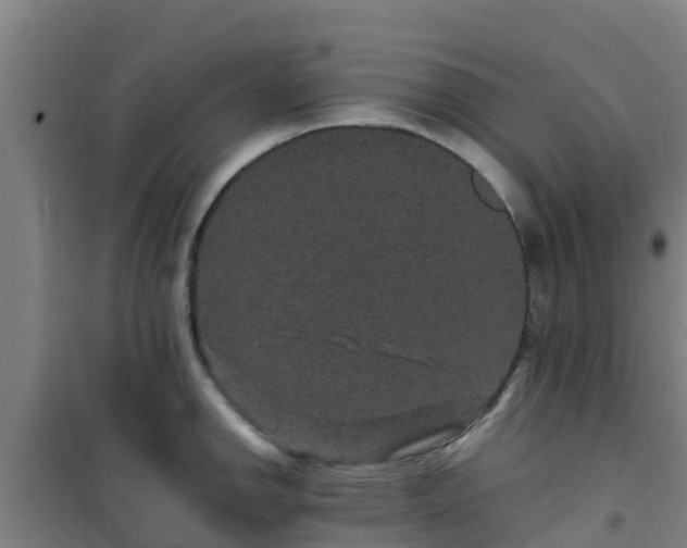 X0000101101142200807031744