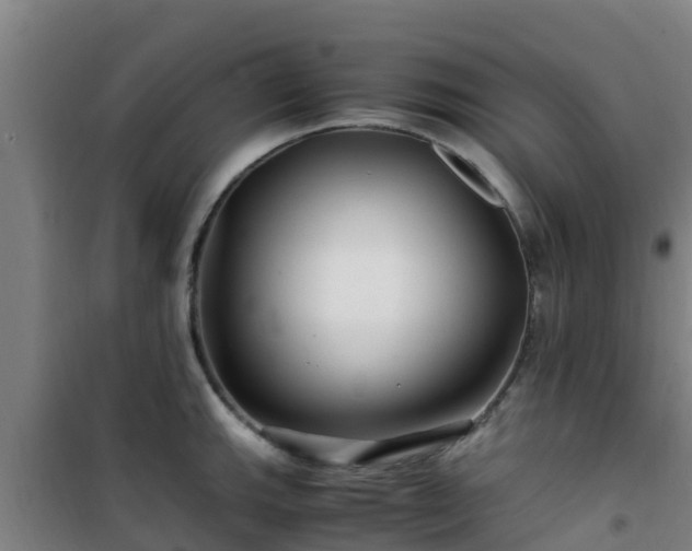 X0000101101143200807031744