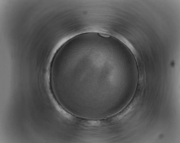X0000101101144200807031744