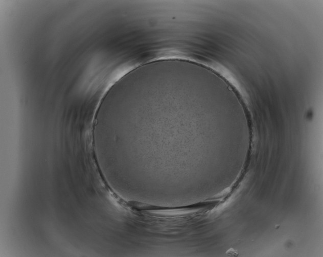 X0000101101145200807031744