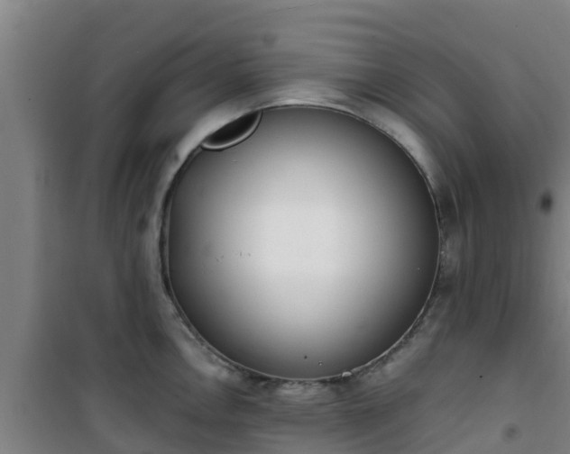 X0000101101146200807031744