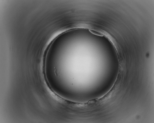 X0000101101147200807031744