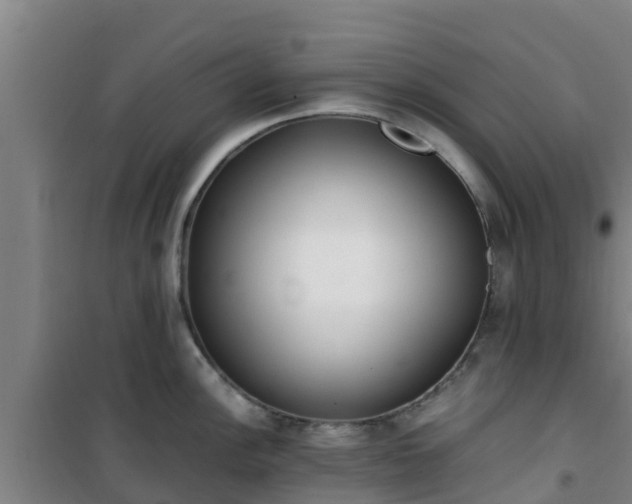 X0000101101148200807031744