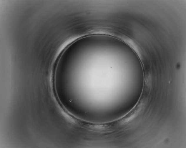 X0000101101149200807031744