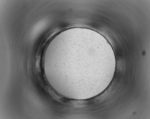 X0000101101150200807031744