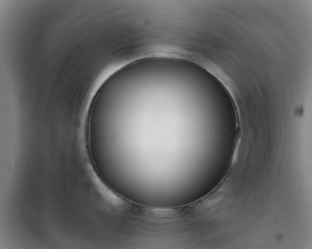 X0000101101152200807031744