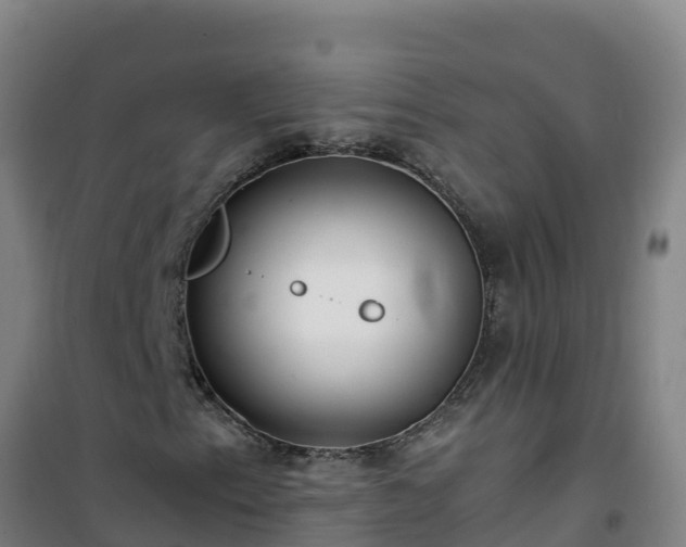 X0000101101153200807031743