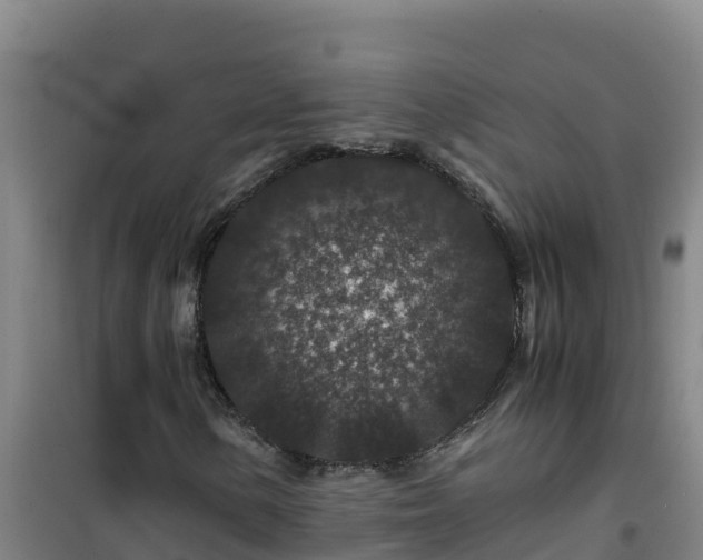 X0000101101154200807031743