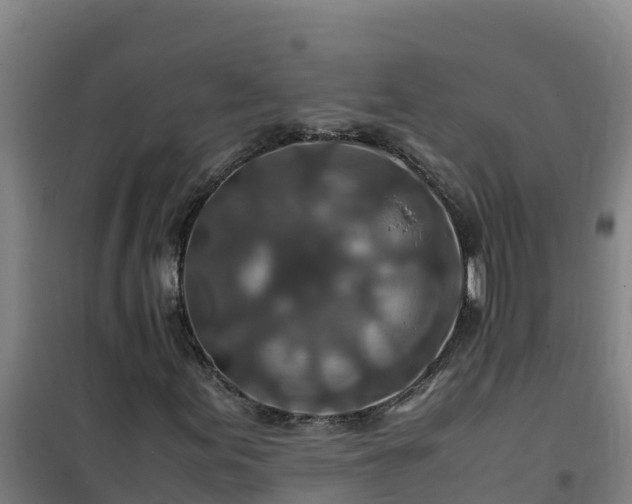 X0000101101155200807031743