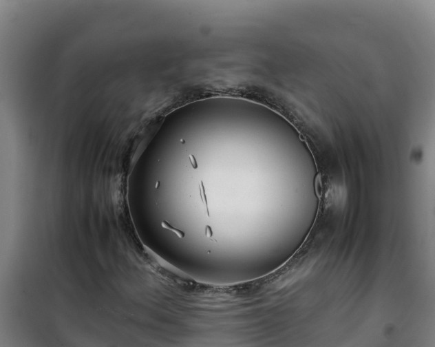 X0000101101156200807031743