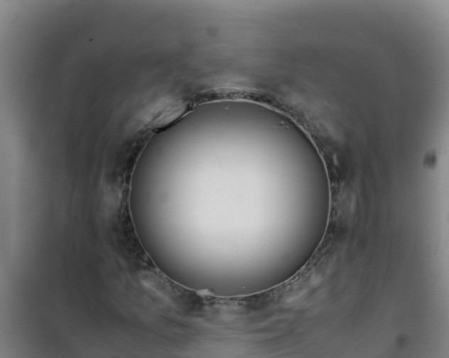 X0000101101157200807031743