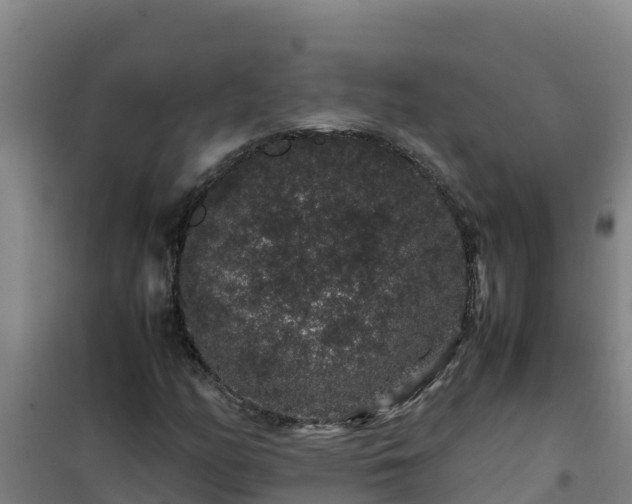 X0000101101158200807031743