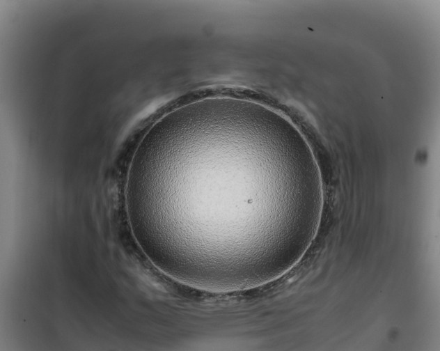 X0000101101159200807031743