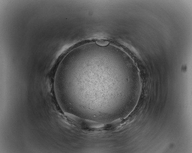 X0000101101160200807031743