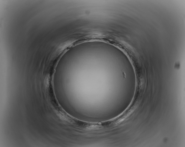 X0000101101161200807031743