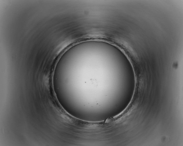 X0000101101162200807031743