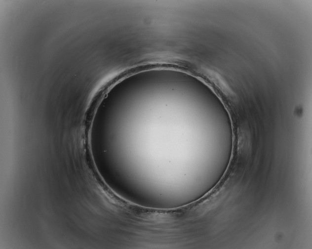 X0000101101164200807031743