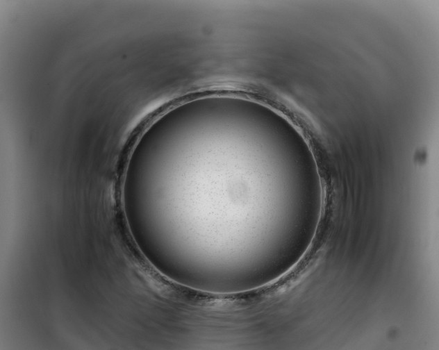 X0000101101166200807031743