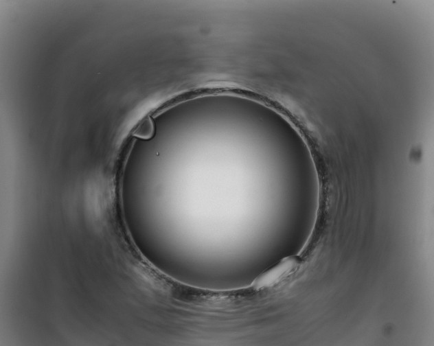 X0000101101167200807031743