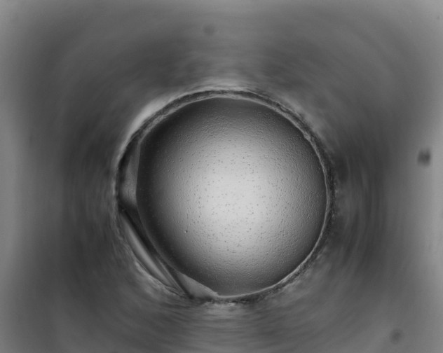 X0000101101168200807031743