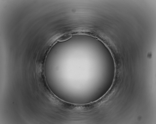 X0000101101169200807031743