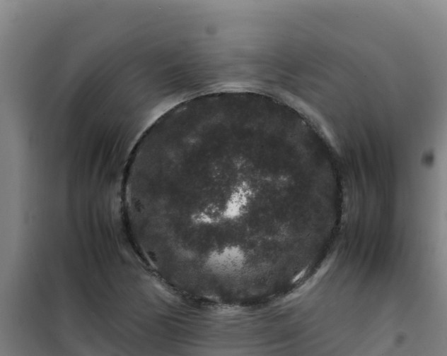 X0000101101170200807031743