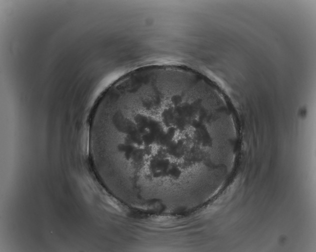 X0000101101171200807031743