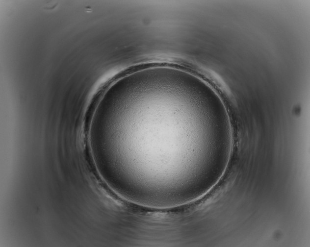 X0000101101172200807031743