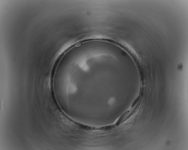 X0000101101173200807031743