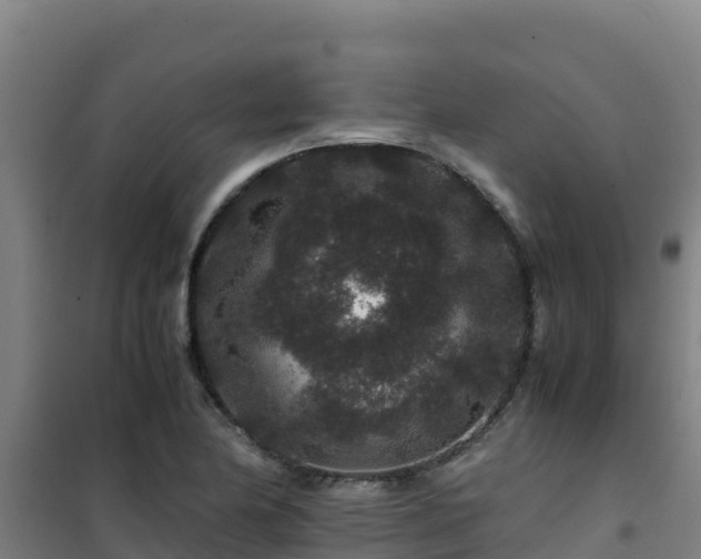 X0000101101174200807031743