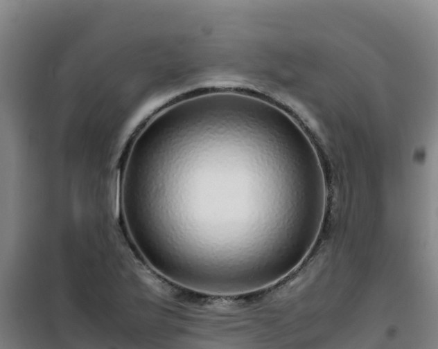X0000101101175200807031743