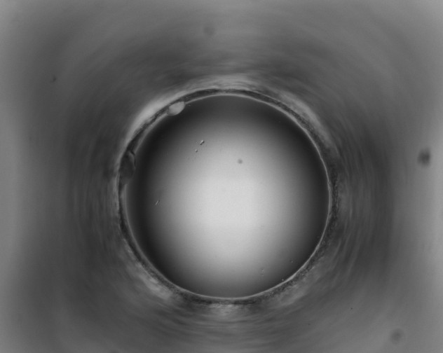 X0000101101176200807031743