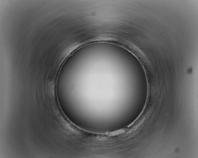 X0000101101177200807031743