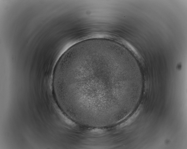 X0000101101178200807031743