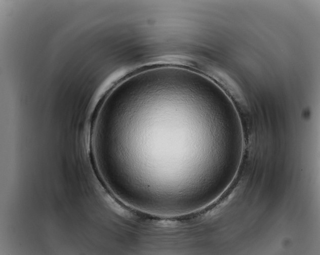 X0000101101180200807031743