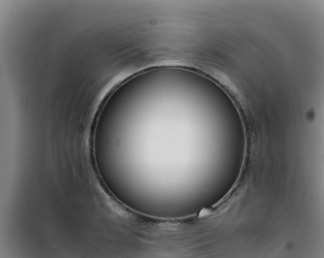 X0000101101181200807031743