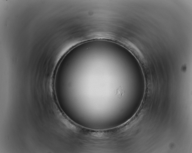 X0000101101182200807031743