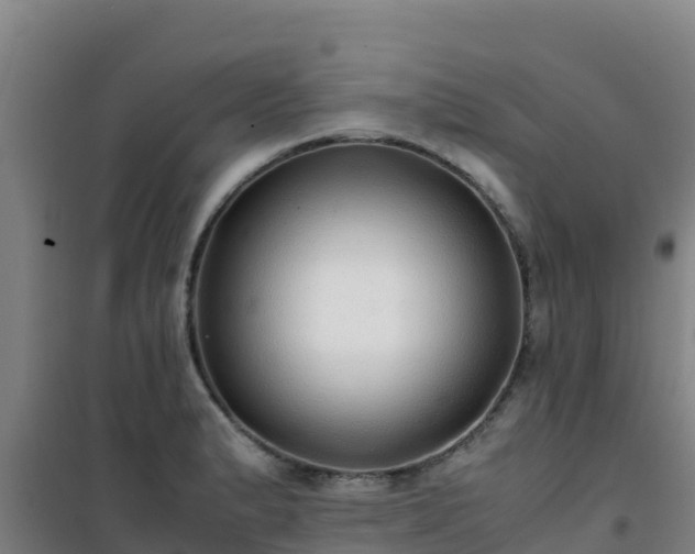 X0000101101183200807031743