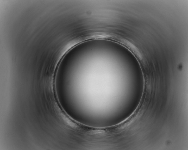 X0000101101186200807031743