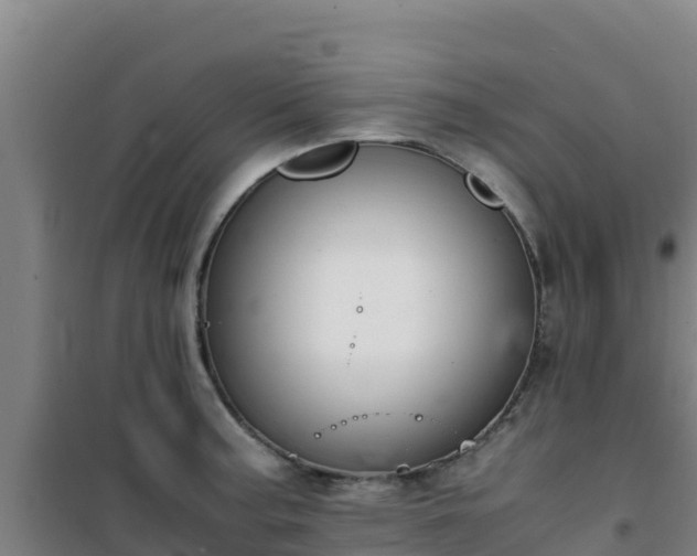 X0000101101187200807031743