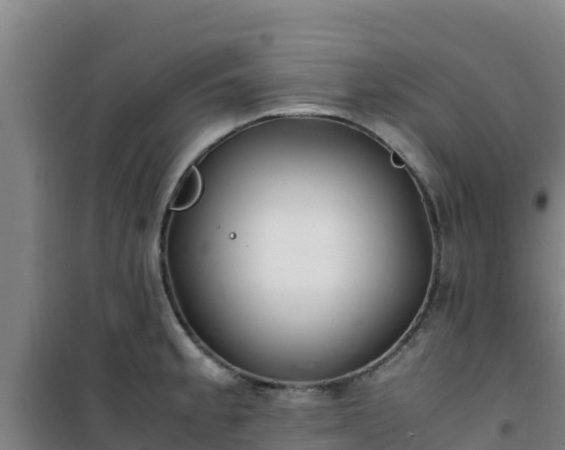 X0000101101189200807031743