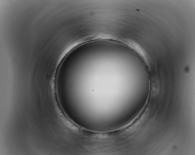 X0000101101190200807031743