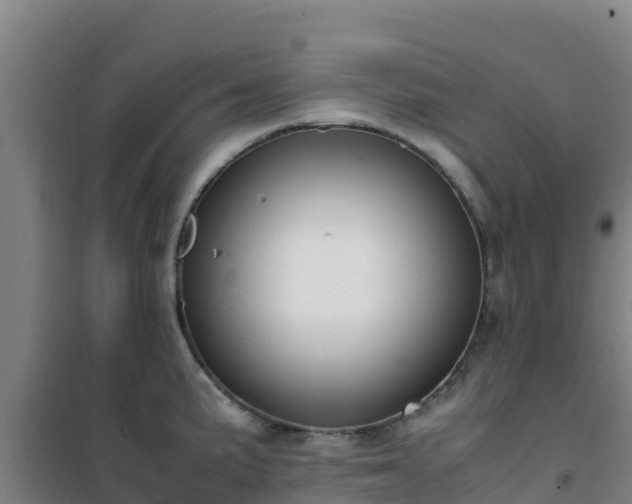 X0000101101191200807031743