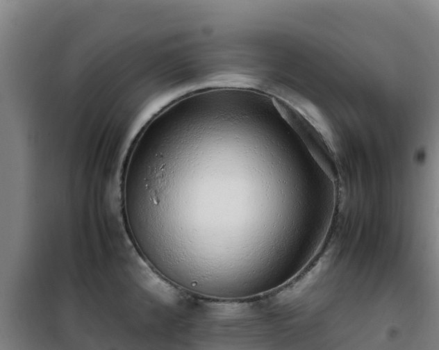X0000101101192200807031743