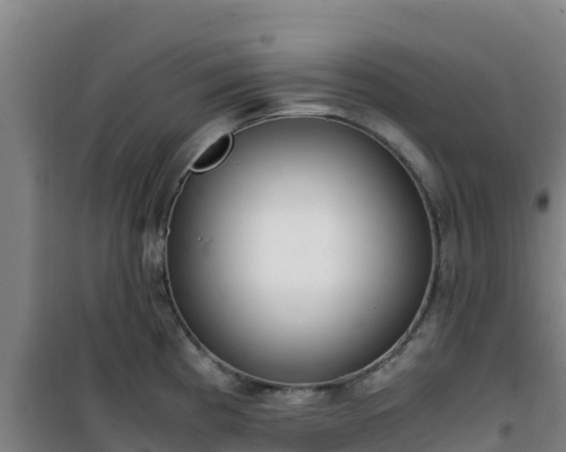 X0000101101193200807031743