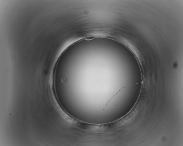 X0000101101195200807031743