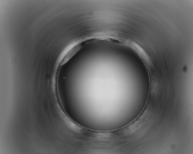 X0000101101196200807031743
